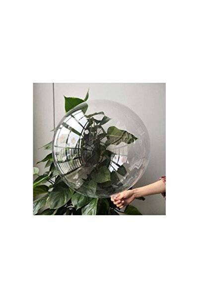 Empressco 5 Pcs 24-Inch Transparent Bobo Balloons Party and Birthday Decorations
