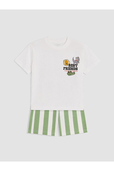 LC Waikiki Vizyon New Season Printed Boys' Set
