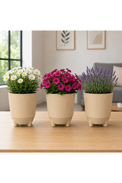 Poliwork 3'lü Set 1 Litre Ayaklı Luna 13 Plastik Saksı Dekoratif Çiçek Saksıs...