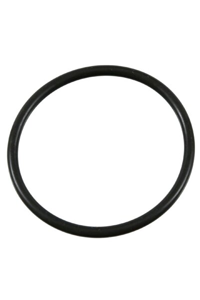 FEBI BILSTEIN Garnitura Termostatului de Racire (60mmx4mm Inel O) Man E2000 E...