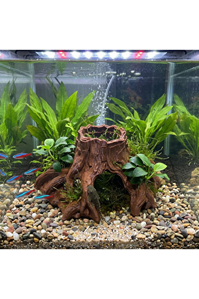 Kanki Pet 3D Akvaryum Dekoru Geniş Ağaç Kökü Kütük Mağarası KP3D103105 Batan ...