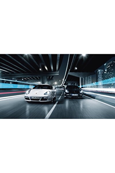 Persona Tablou canvas model Auto, 100 x70 cm, 390