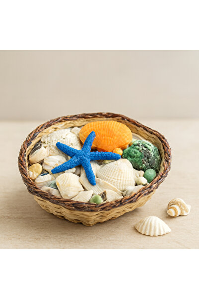 magicool Mussel and Seashell Vase Stone - Colorful Mix, with Wooden Basket (S...
