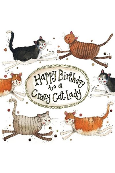 Alex Clark Felicitare Crazy Cat Lady multicolor 0x1x13cm