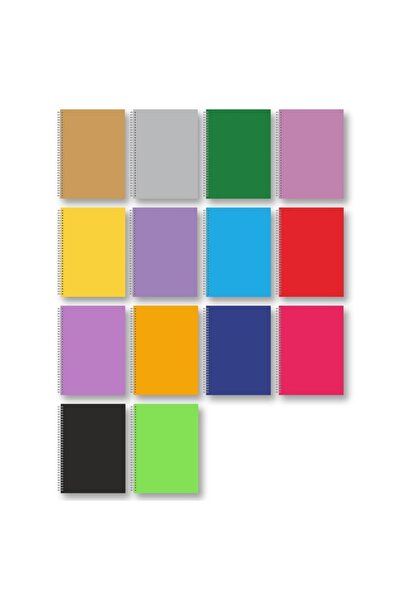 Penmate Caiet B5 spiralat 80 file multicolor