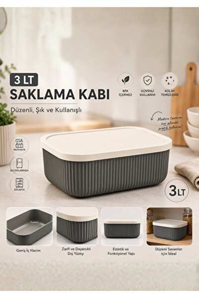 HOMİNG Çok Amaçlı 3 lt Organizer Saklama Kutusu
