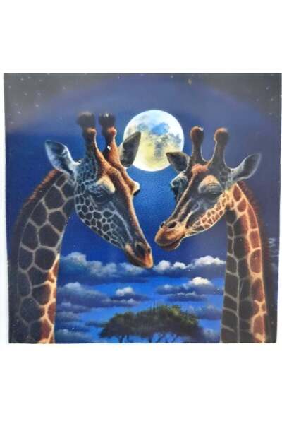 LİVA CRAFT Art & Craft Diamond Mosaic Painting, 30X30Cm Two Giraffes Bead Glu...