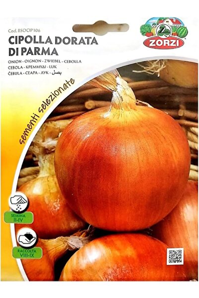 GENERAL Onion Seeds
