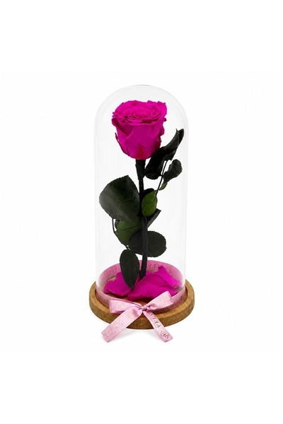 velve Trandafir criogenat premium XL in cupola de sticla, fucsia, tulpina nat...