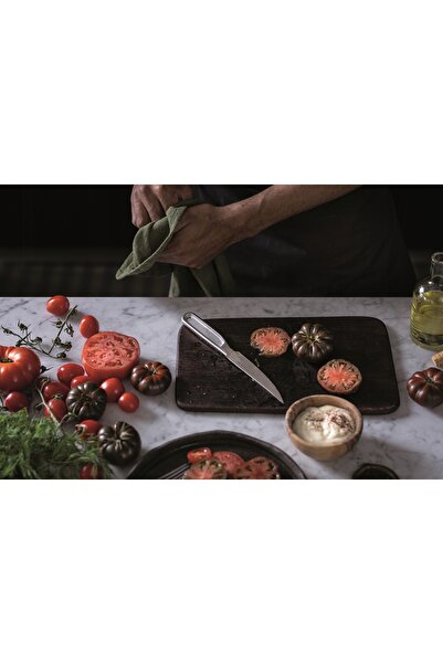 FiSKARS CUȚIT PENTRU ROȘIȚE OȚEL INOX 12CM