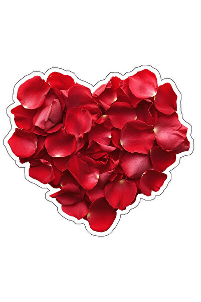 TELLGRAF Heart Themed Sticker Set (4X4 cm 24 Pieces)