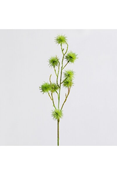 home&you Cardo Flower