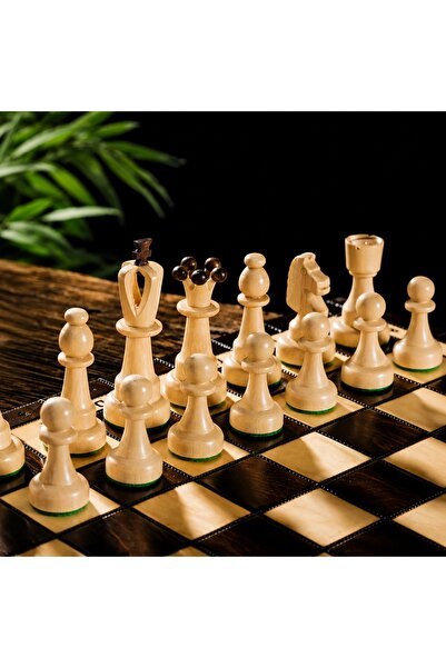 Sunrise Chess & Games BESKID decorative chess Top Bottom Set - with storage c...