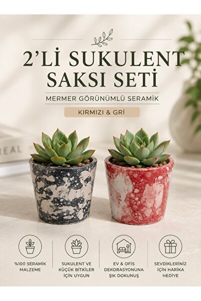 Buywell 2’li Seramik Sukulent ve Küçük Süs Bitkisi Saksı Seti – Mermer Görünü...