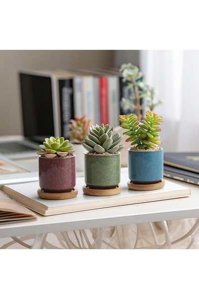 NO BRAND 6 ghivece ceramice pentru plante suculente și cactuși, cu bază rotun...