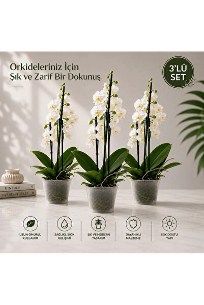 Poliwork 3'lü Set 1,2 Litre Şeffaf Orkide Saksısı Gardenya Plastik Saksı Çiçe...