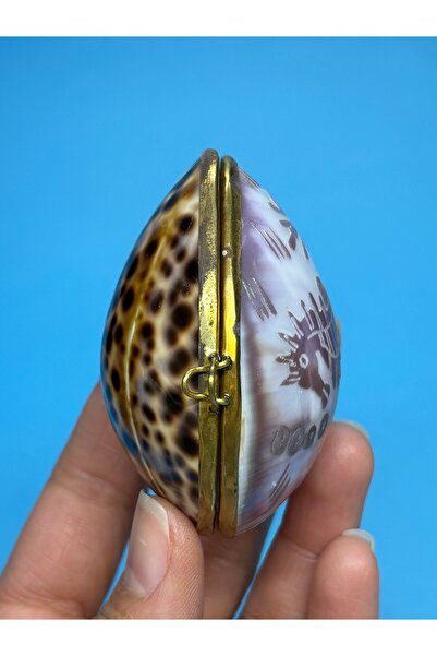gemsartdeco Hediyelik Mini Kabuk Hediye Kutusu Özel Seri