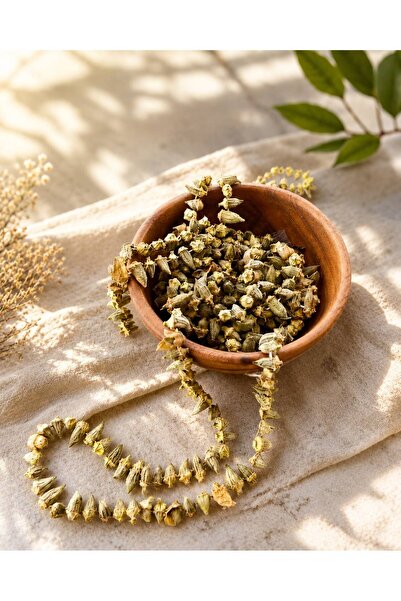 Genel Markalar Kuru Hançalar Bamyası Yöresel Kurutulmuş Çiçek Bamya 100 gr (2...
