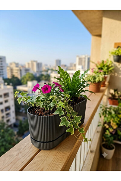 Kastasaksı BİTKİSİZ Antrasit Pera uzun saksı 2 no 3 litre dekoratif modern pl...