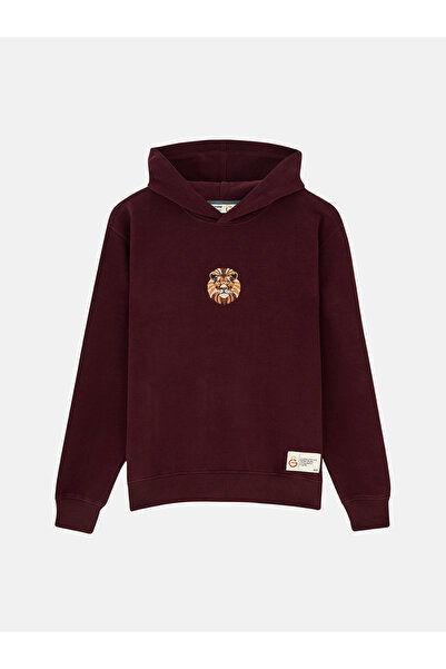 GSStore X Reflect Studio Aslan Hoodie E242400