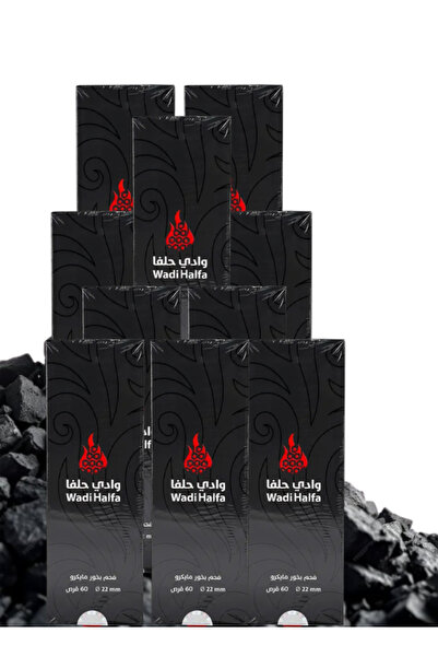 Wadi halfa 10 قطع من أقراص البخور الفحمية الصغيرة 60 قرصًا