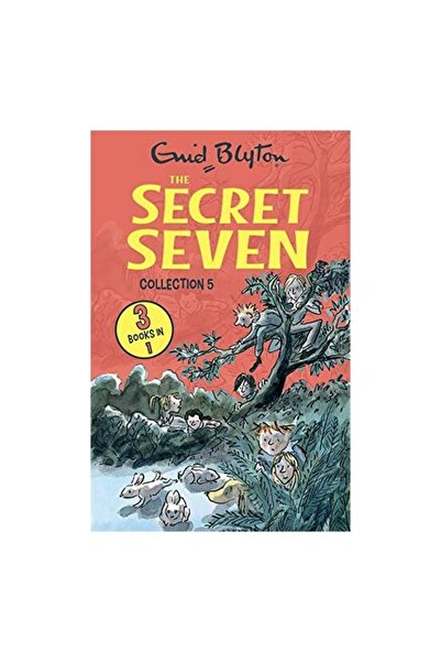 Hachette Children's Group Secret Seven Collection 5