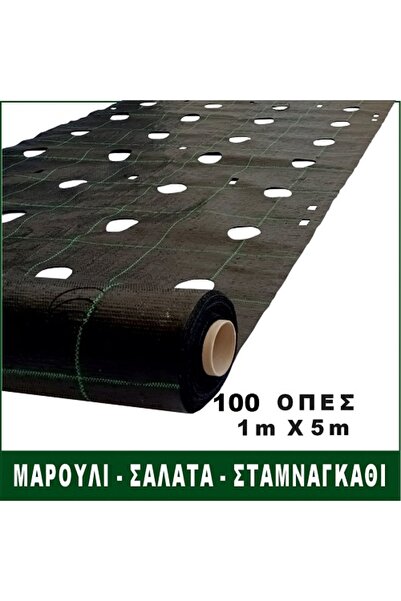 Garden Ύφασμα εδαφοκάλυψης με οπές 1μ x 100μ για λαχανικά