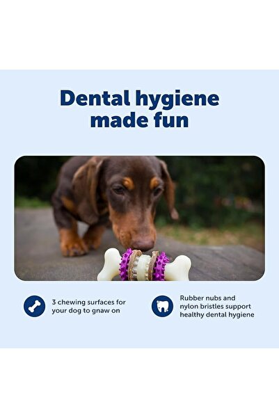 PetSafe لعبة مضغ على شكل عظمة من بيز بادي للكلاب - للكلاب ذات قوة مضغ عالية -...