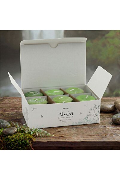 Amara Alvea (45G) Harmony Pine & Eucalyptus Votive Candle