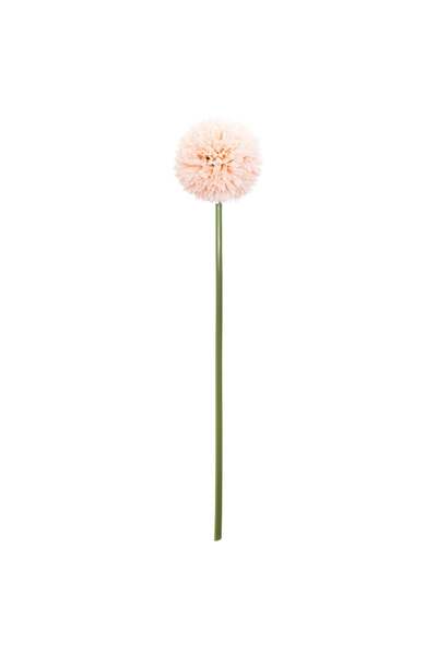Atmosphera Tulpina de pompon artificială - H.60 cm