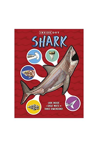 Generic (Unbranded) Sharks