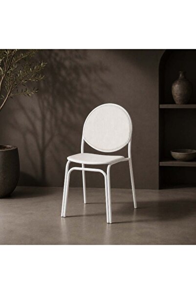 In Zone Modern Dining Chair with Elegant Rounded Design, Comfortable Seat and...