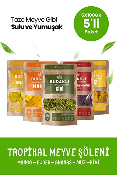 Budaklı Tropikal Kuru Meyve Paketi 5x100 Gr Mango Kivi Muz Ananas Ejder Meyve...