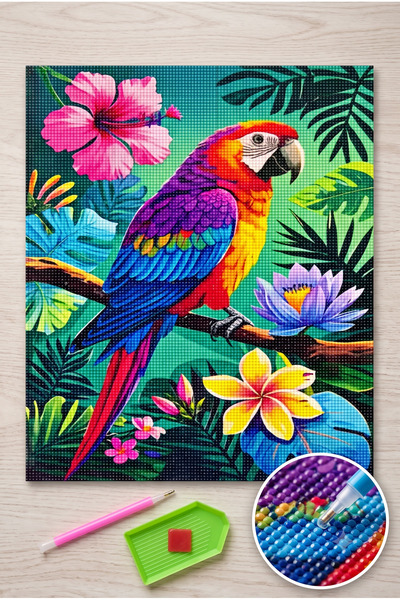 LİVA CRAFT Art & Craft Elmas Mozaik Tablo, 50x65cm Papağan Boncuk Yapıştırma ...
