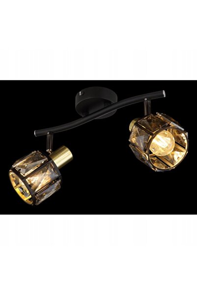 GLOBO Lampa reflector spot INDIANA 54357-2B