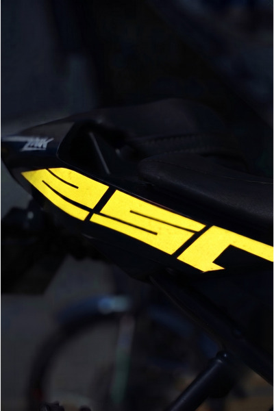Banxtre Rear Tail 250 Lettering Sticker Decal with Reflector (Right and Left)...