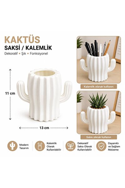 bimbambom Kaktüs Saksı, Sukulent saksı, Plastik Saksı Renkli Saksı, kalemlik,...
