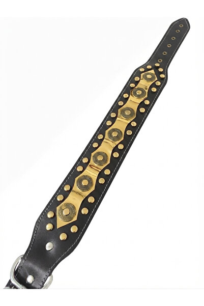 Sürmeli Tasma Kangal Dog Collar Wide Genuine Buffalo Leather