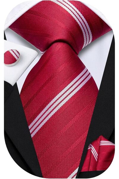 Dubulle Mens Paisely Silk Tie for Men Necktie and Pocket Square Set