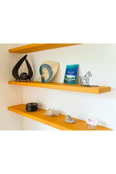 AsolBD Decorative Floating Wall Mounted Shelves with Stylish Invisible Bracke...