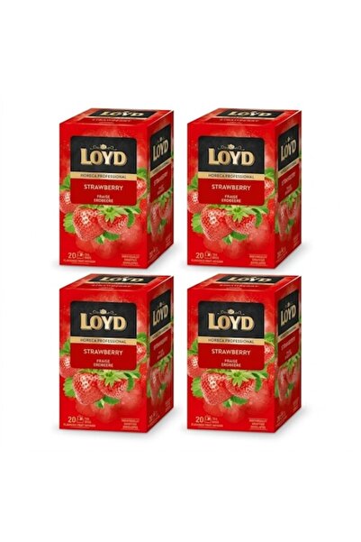 loyd Set de 4 x Ceai profesional Horeca cu căpșuni, 80 plicuri