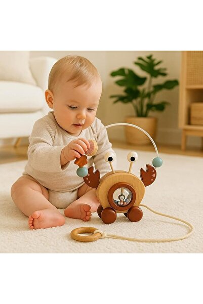 Brick Hues Wooden Pull-Along Crab Walker | Montessori Baby for 12+ Months | E...