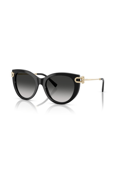 Tiffany Tf 4232 80013C 53 & Co. Sunglasses
