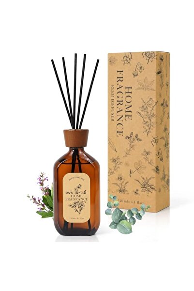 Generic Brand Scented Reed Diffuser - Long Lasting Eucalyptus Sage Fragrance ...