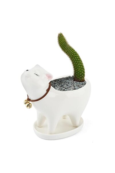 Generic Tazweeq Unique Tailless Cat Little Planter Pot, Adorable Ceramic Cat ...