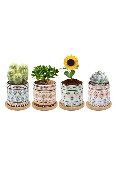 Generic URbazaar URbazaaar Flower Pots, Plant Pots, Indoor Planters with Drai...