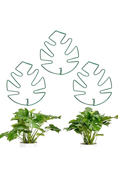 Generic Monstera Plant Support, 3 Pack Iron Clamps with Turtle Shell Design, ...