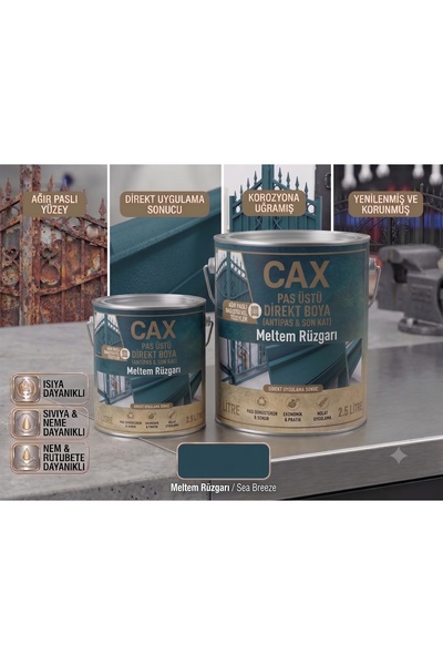 caxcolors CAX Pas Üstü Direkt Metal Boyası Antipas Dahil Koruyucu Parlak Dış ...