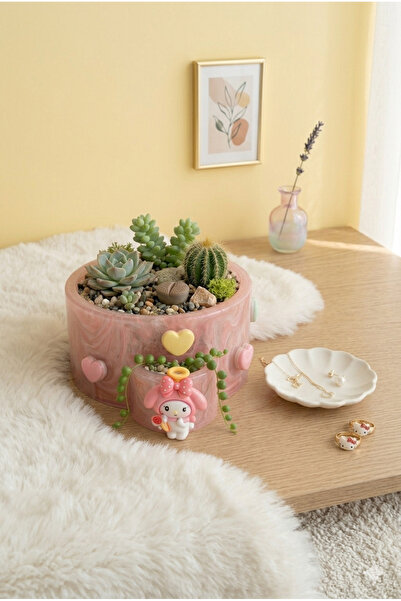 PELIUS Hello Kitty, Büyük Boy, Toka, Takı Kutusu, Saksı, Mumluk, Çok Amaçlı D...