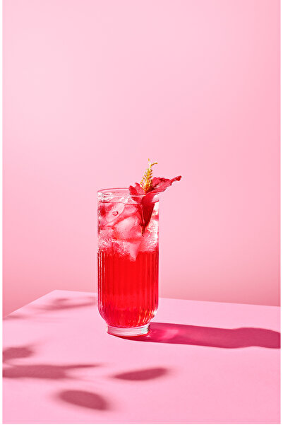 Pin Hibiskus Çayı - Şekersiz & Kalorisiz 1 Litre X 6 Adet